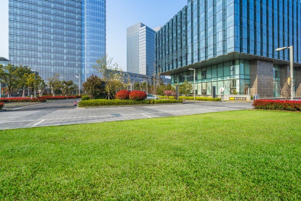 commercial landscaping 3