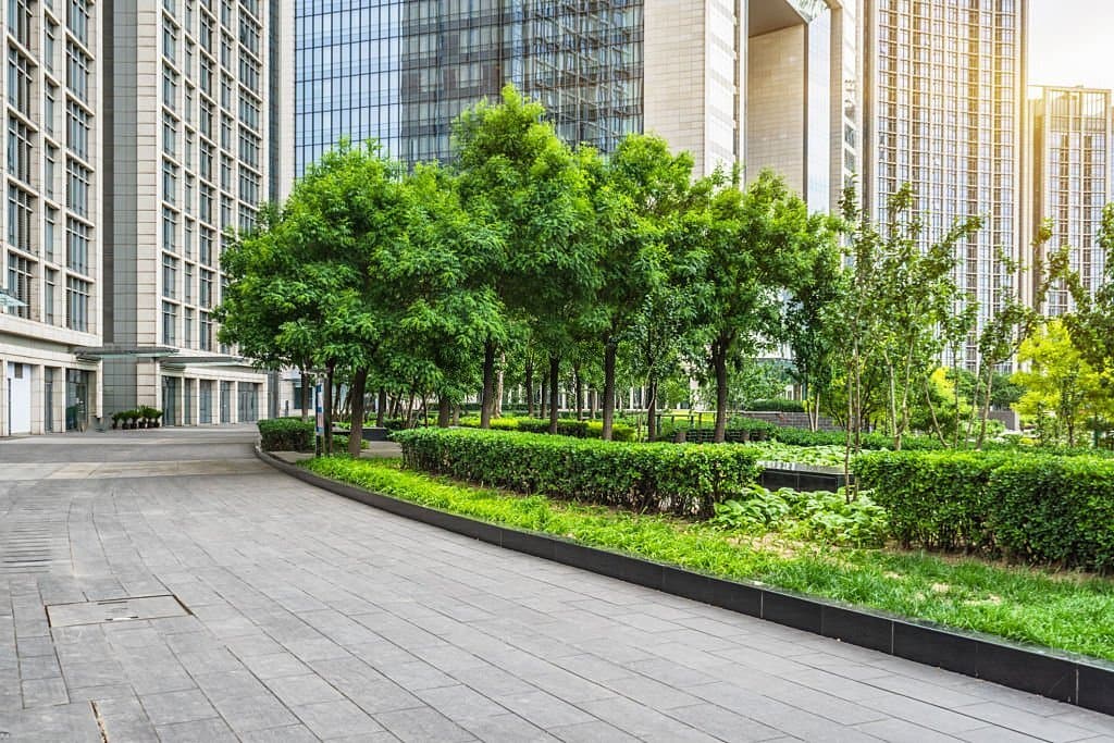 commercial landscaping 4