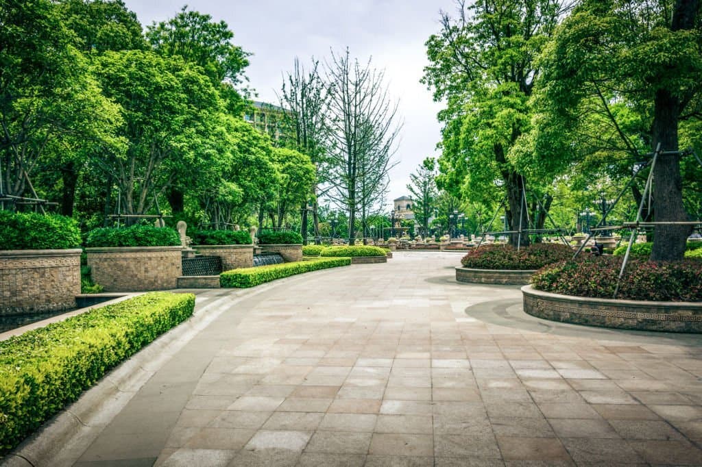 commercial landscaping 5