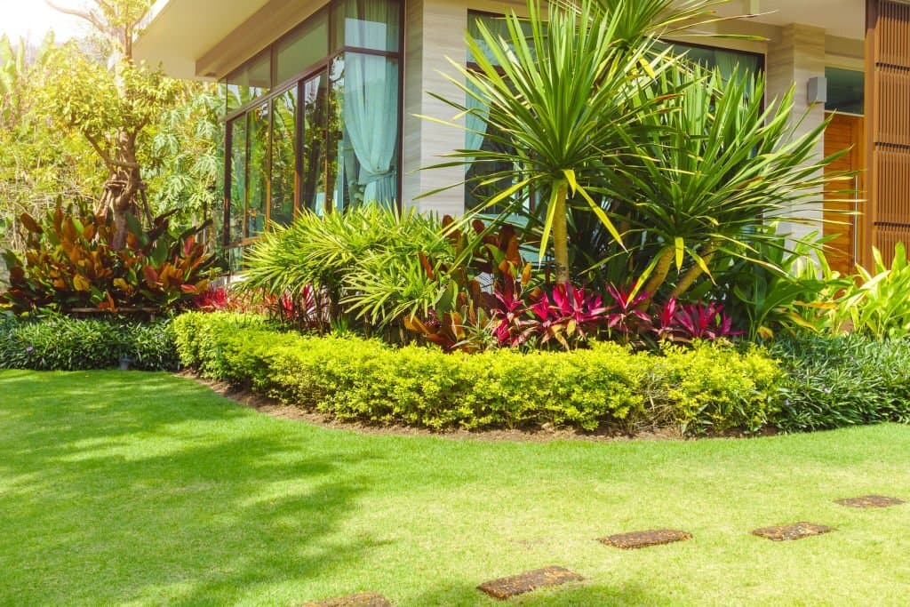 Landscape Design Carlsbad 2