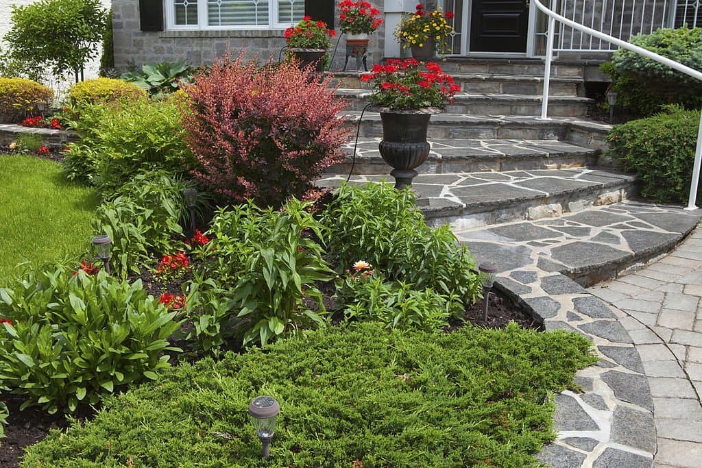Landscape Design Encinitas 2