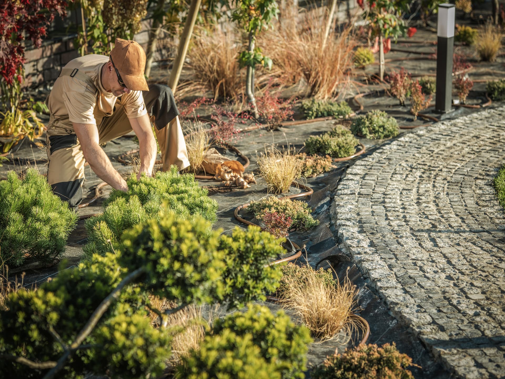 Landscape Architect 1